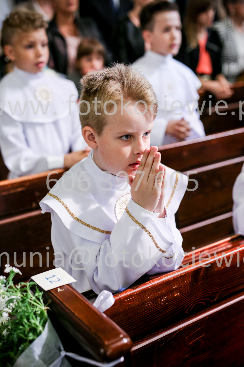 448_IMG_9561