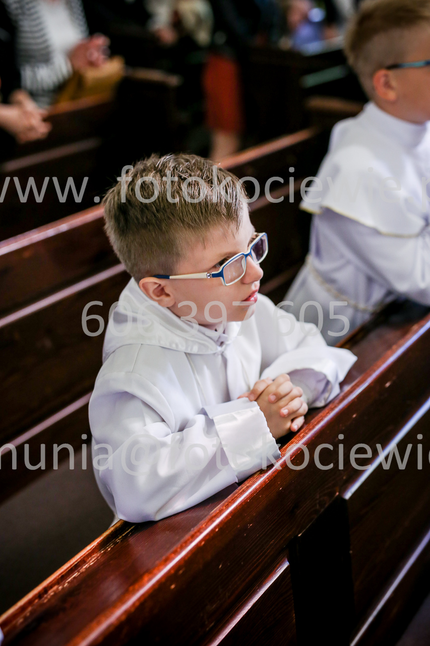 451_IMG_9564
