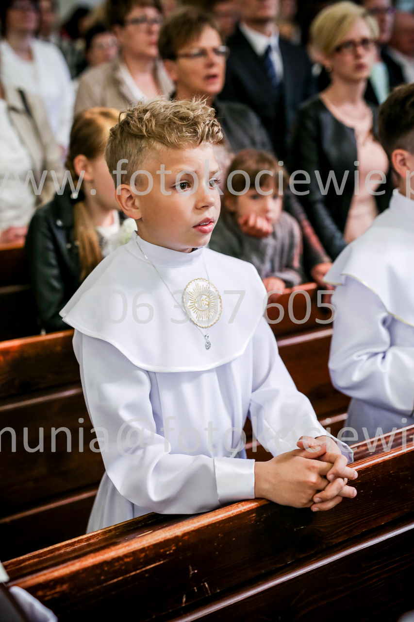 452_IMG_9565