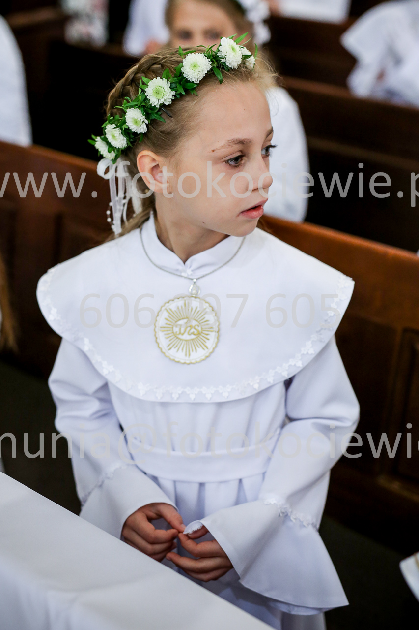 496_IMG_9582