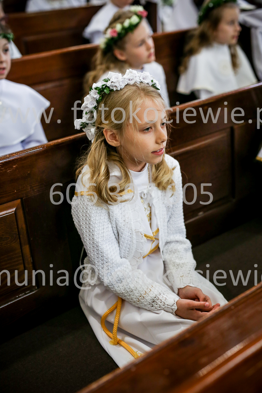 545_IMG_9631
