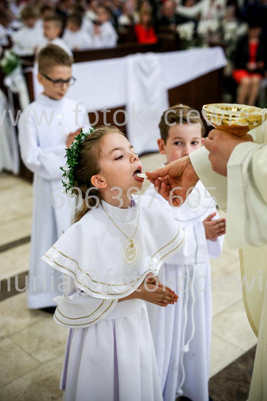 595_IMG_9677