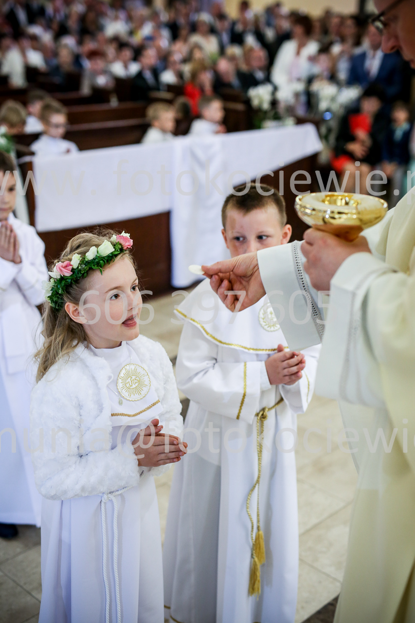 646_IMG_9728