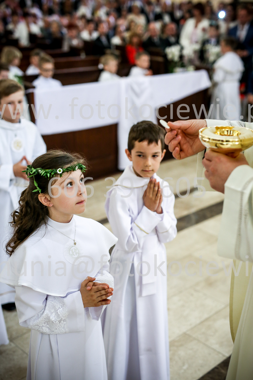 651_IMG_9733