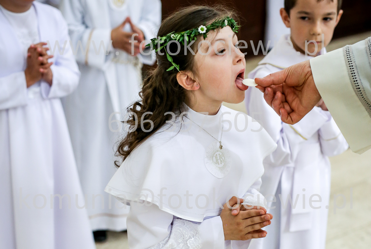 653_IMG_9734