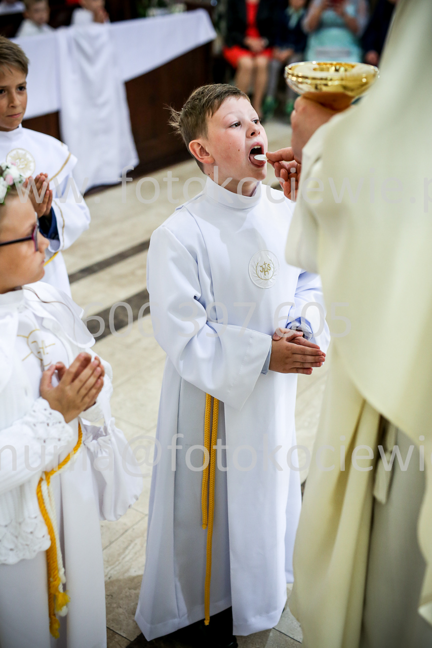 667_IMG_9748