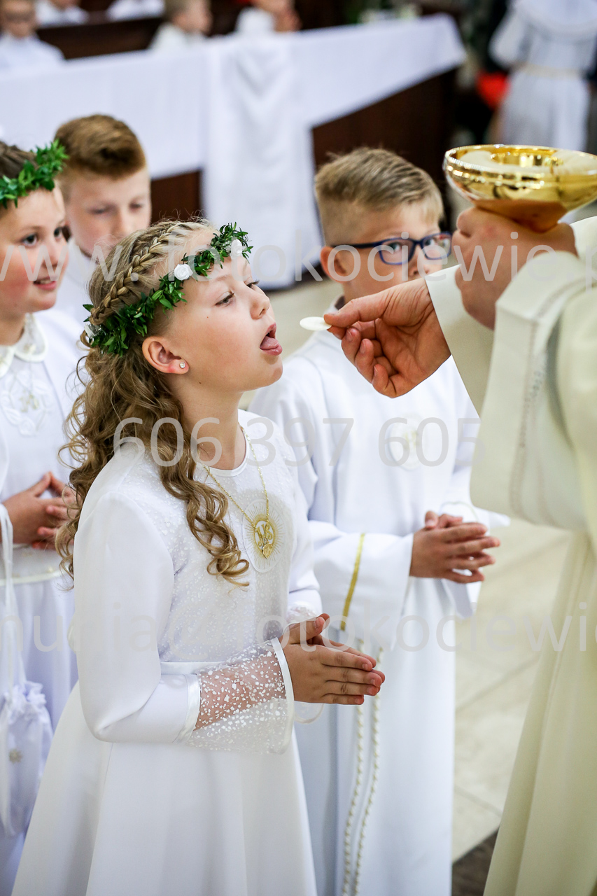 672_IMG_9753