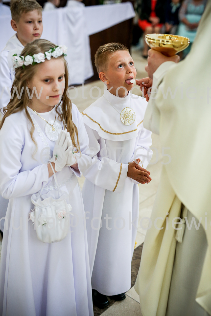 736_IMG_9816