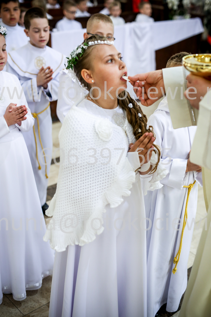 762_IMG_9842
