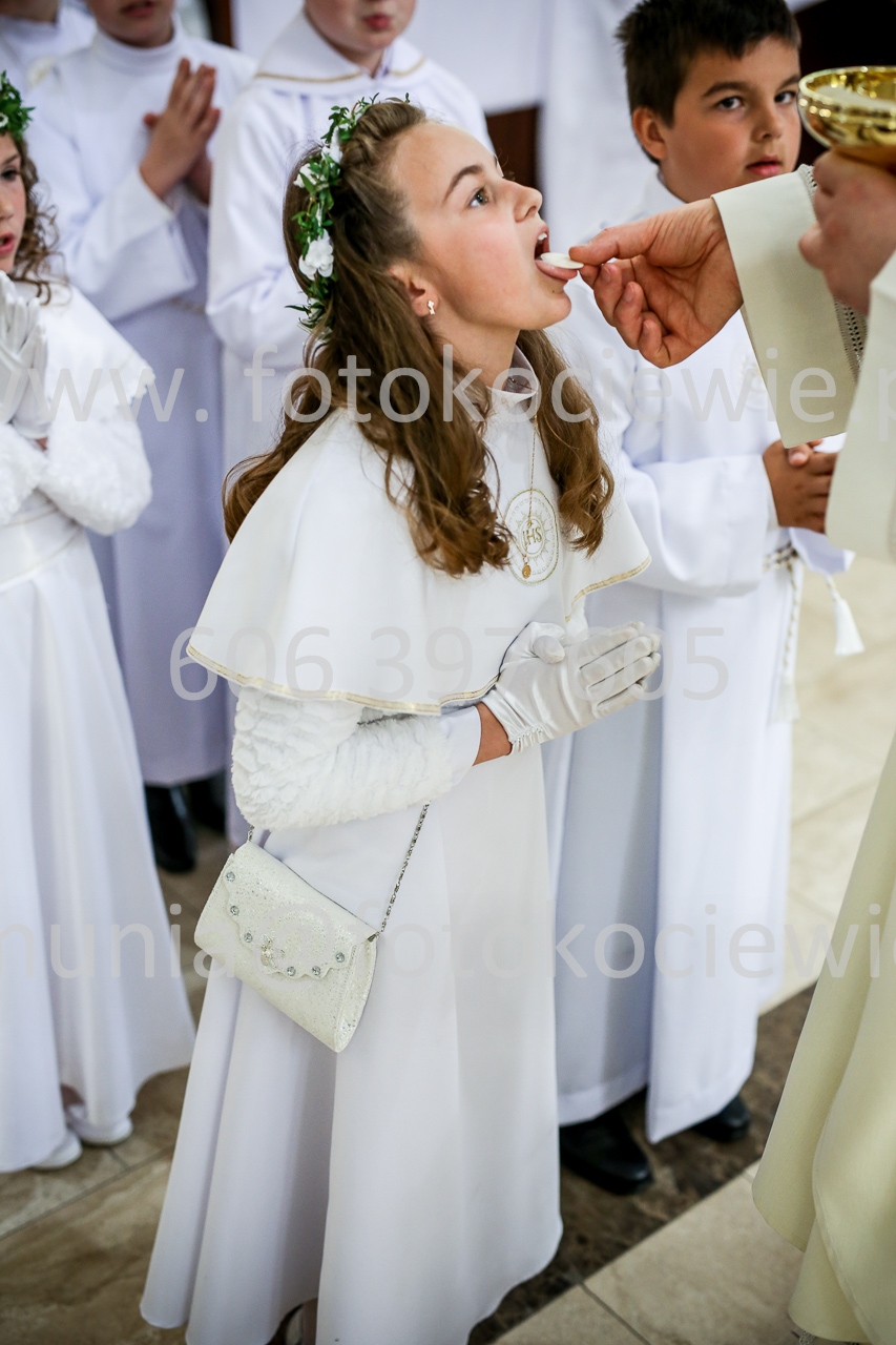 774_IMG_9854