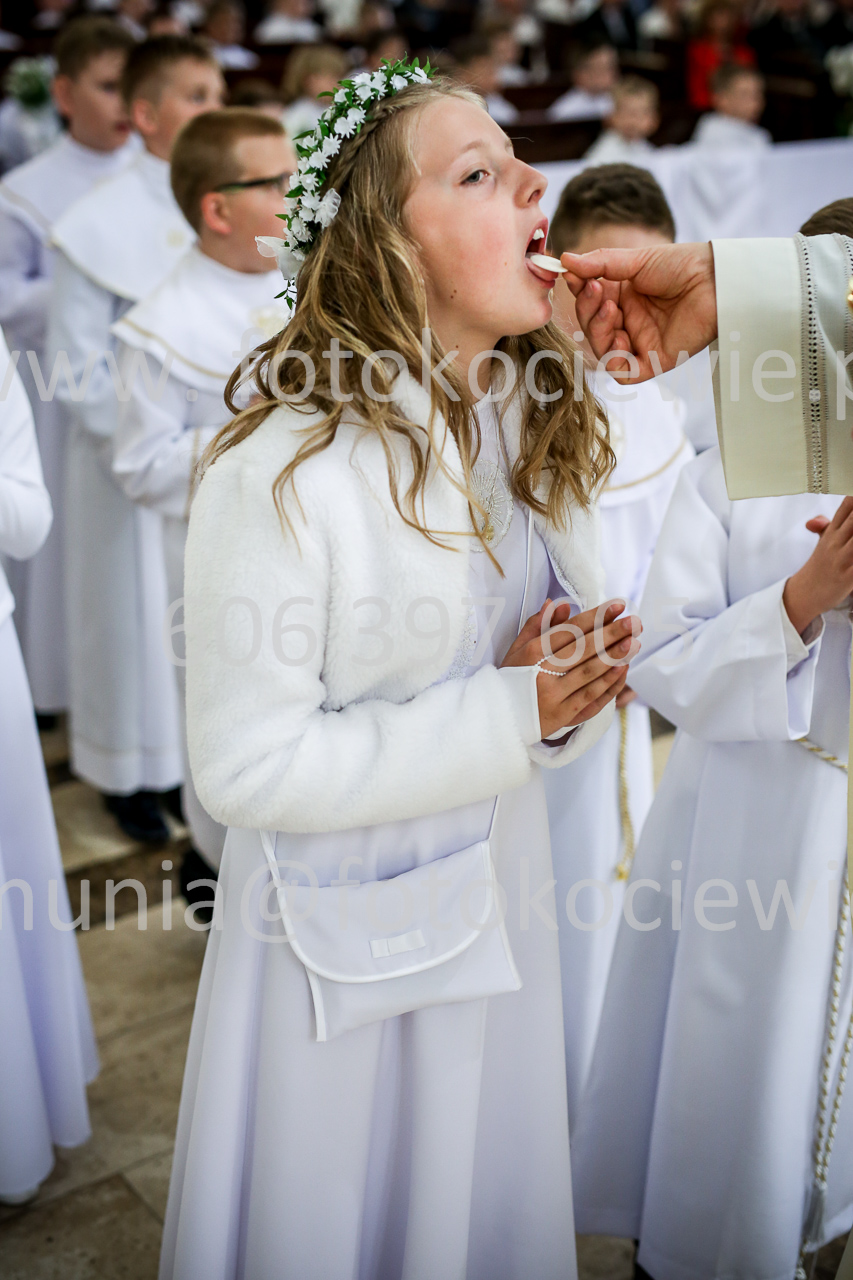 782_IMG_9862
