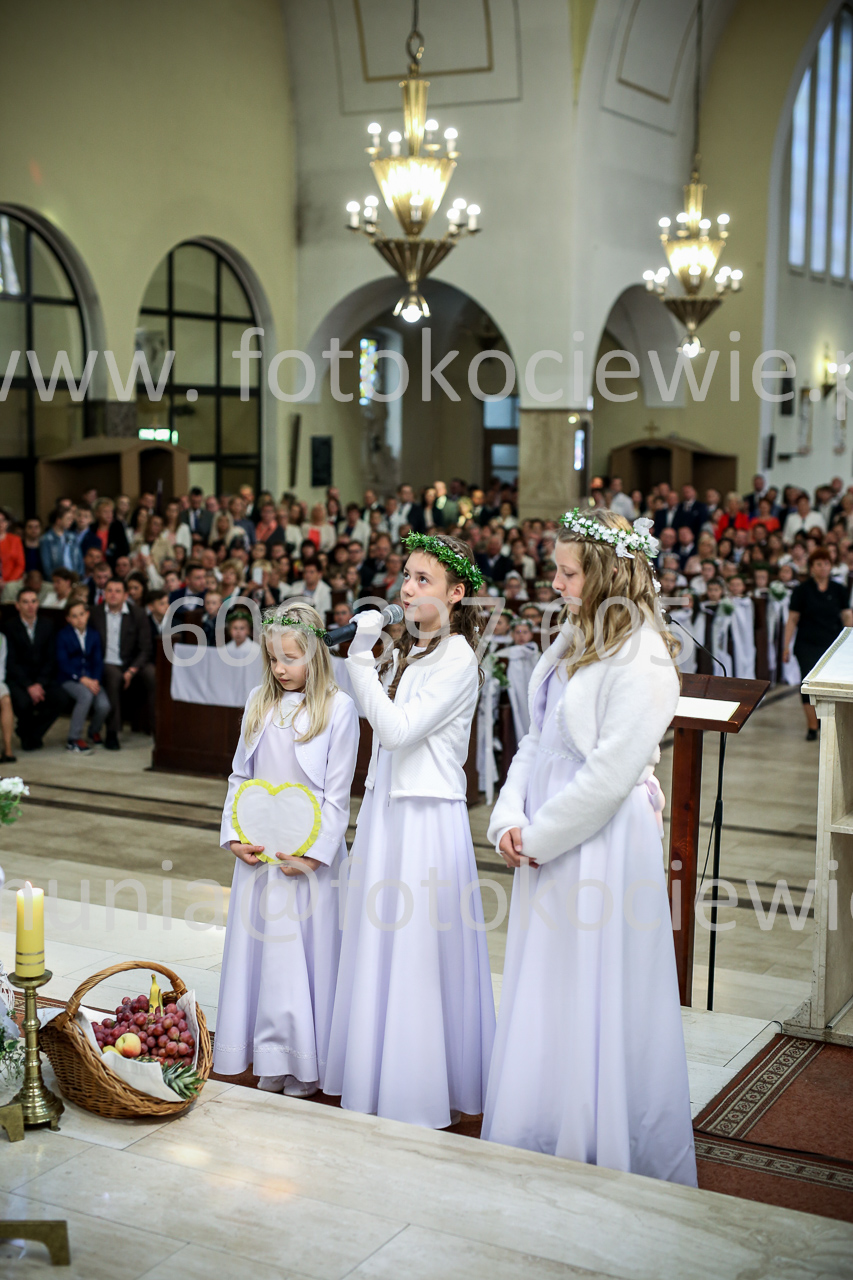 810_IMG_9890