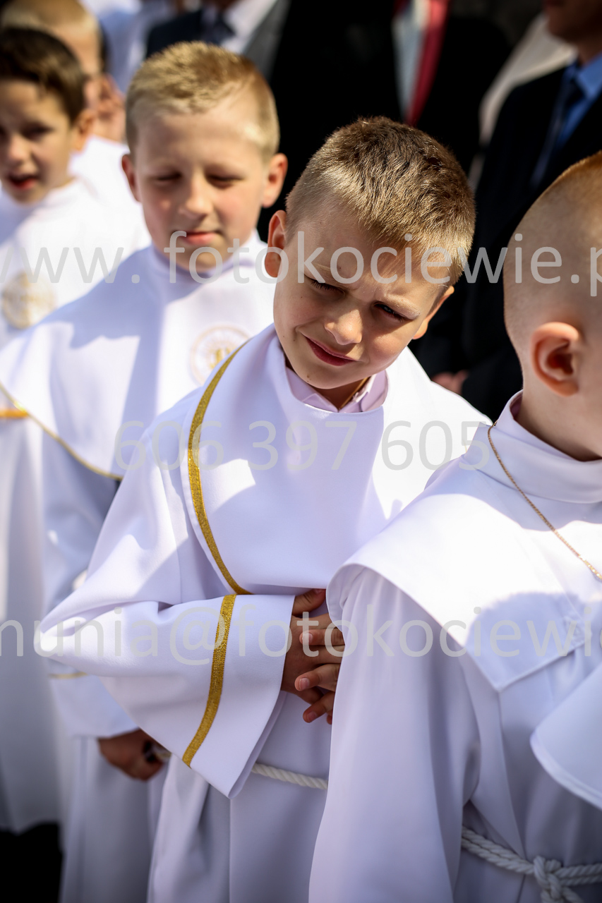 946_IMG_9919