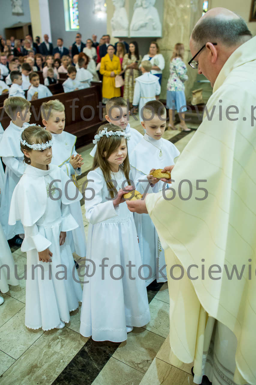 801_IMG_3241