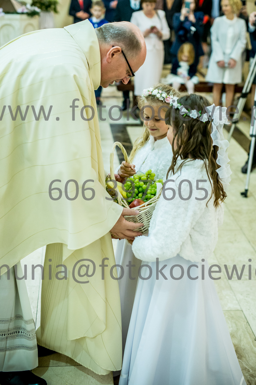 369_IMG_3528
