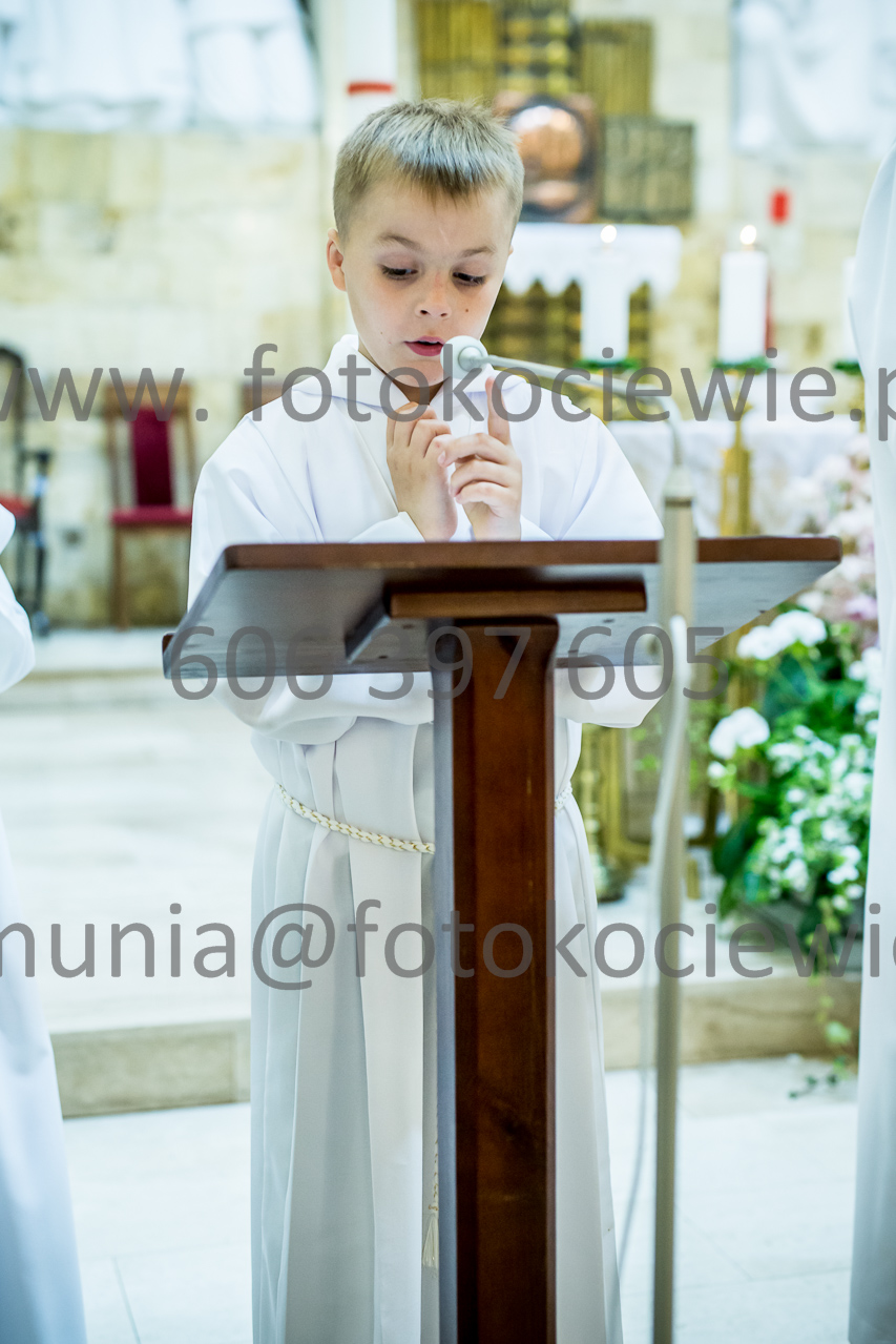 372_IMG_3533
