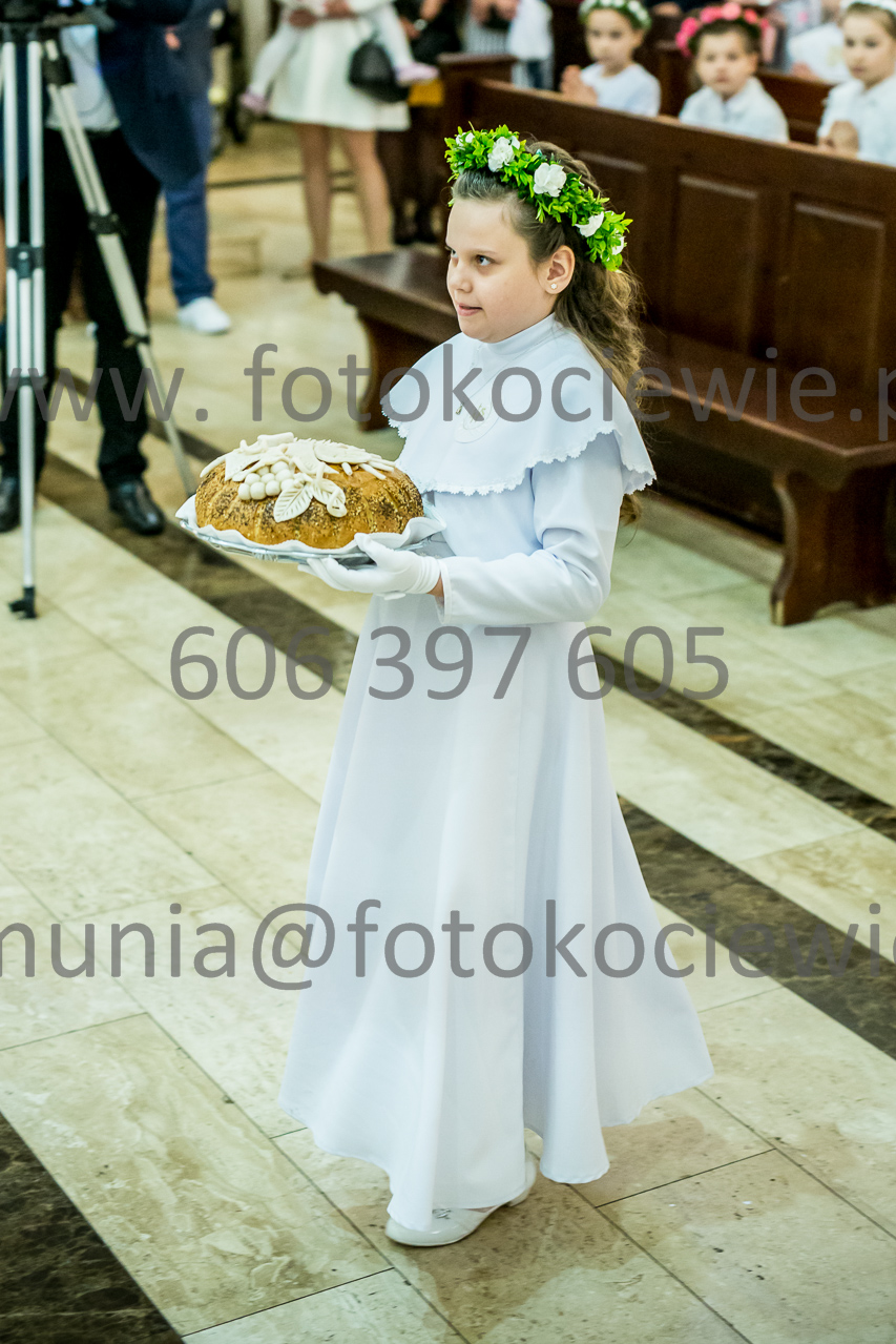 375_IMG_3537