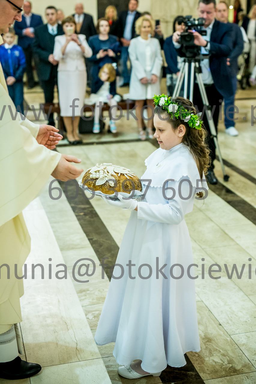 376_IMG_3538