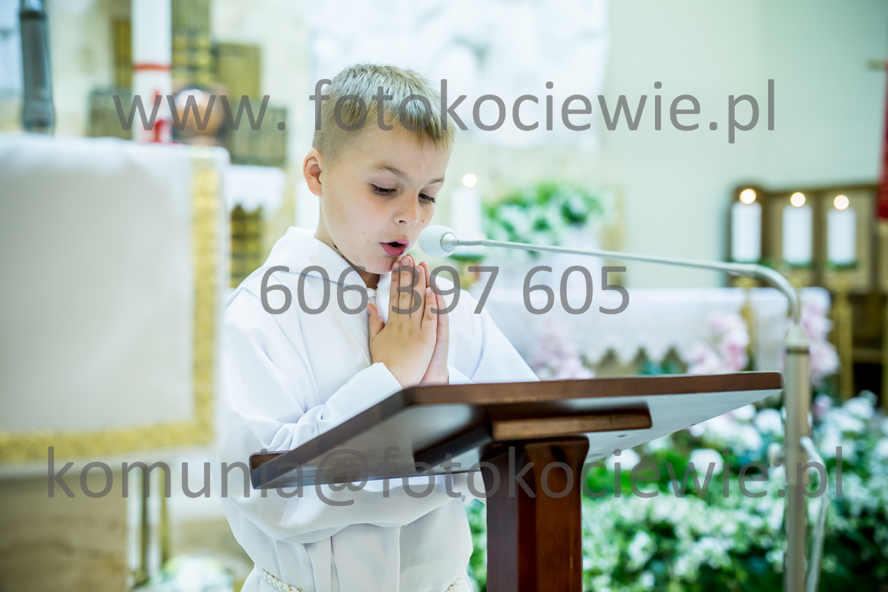 378_IMG_3541