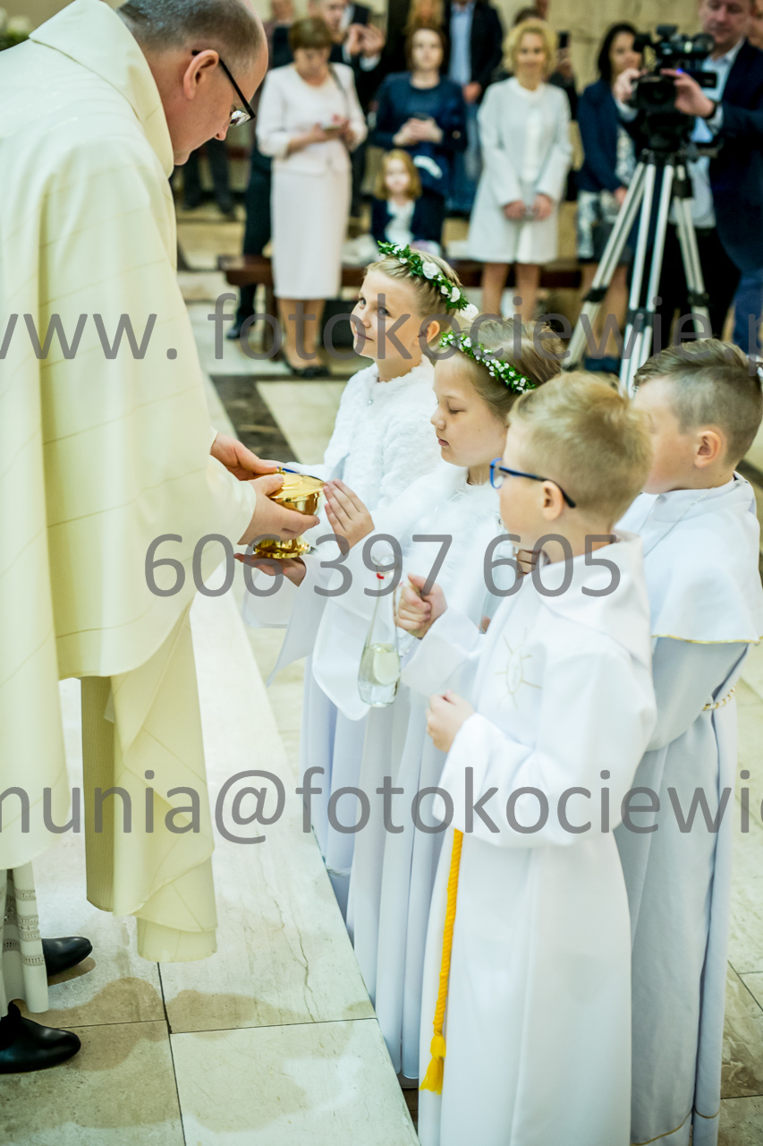 382_IMG_3548