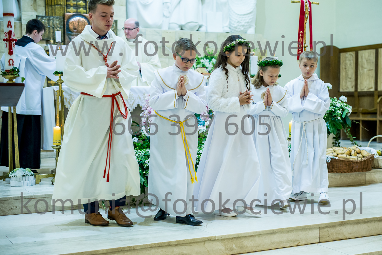 390_IMG_3563