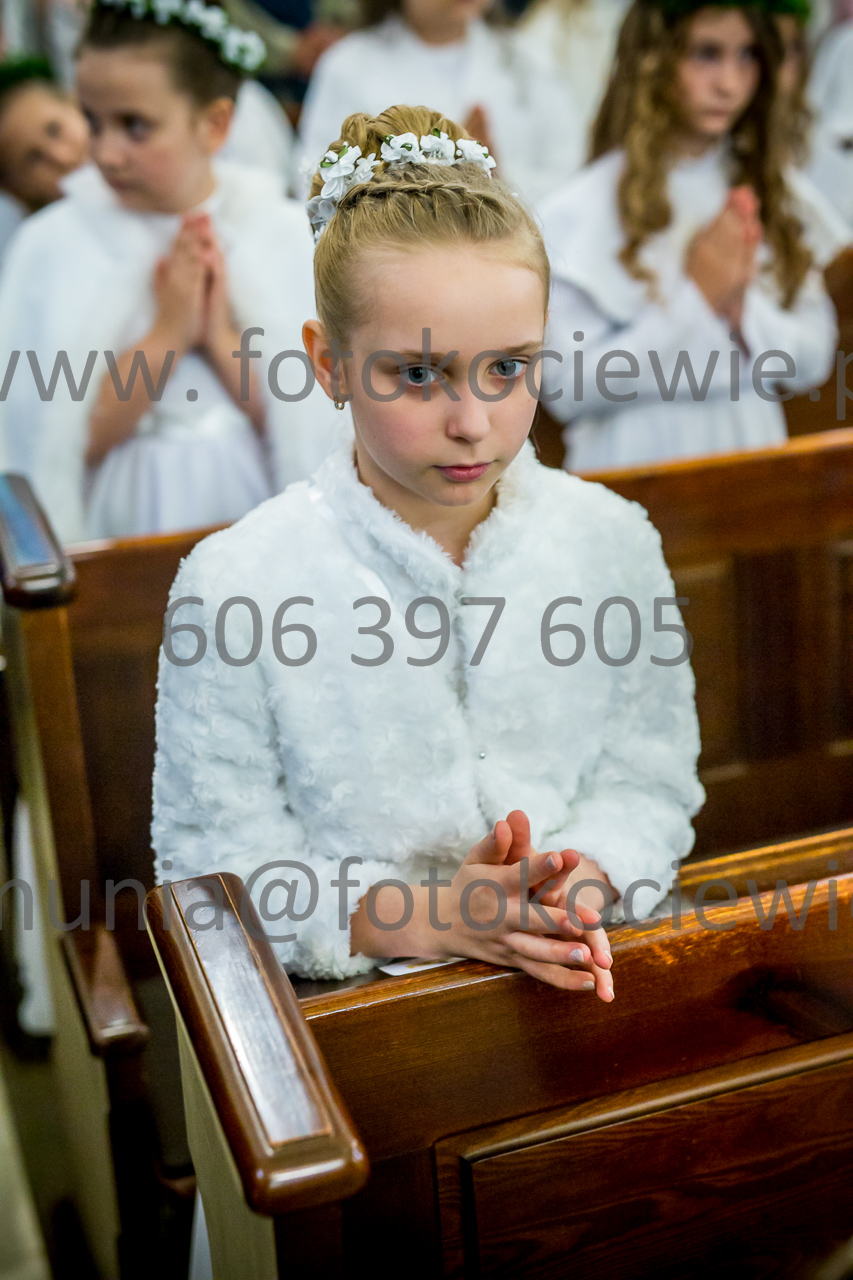 481_IMG_3756