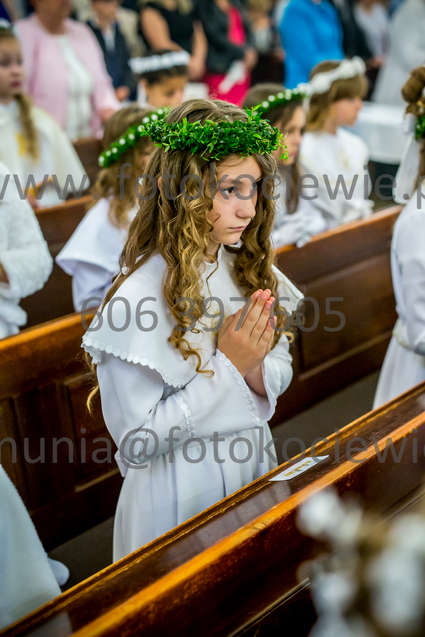 484_IMG_3763