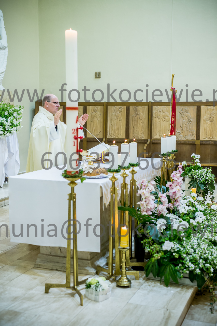 500_IMG_3782