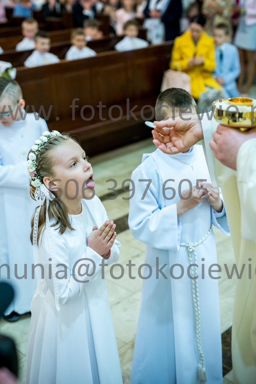 542_IMG_3823