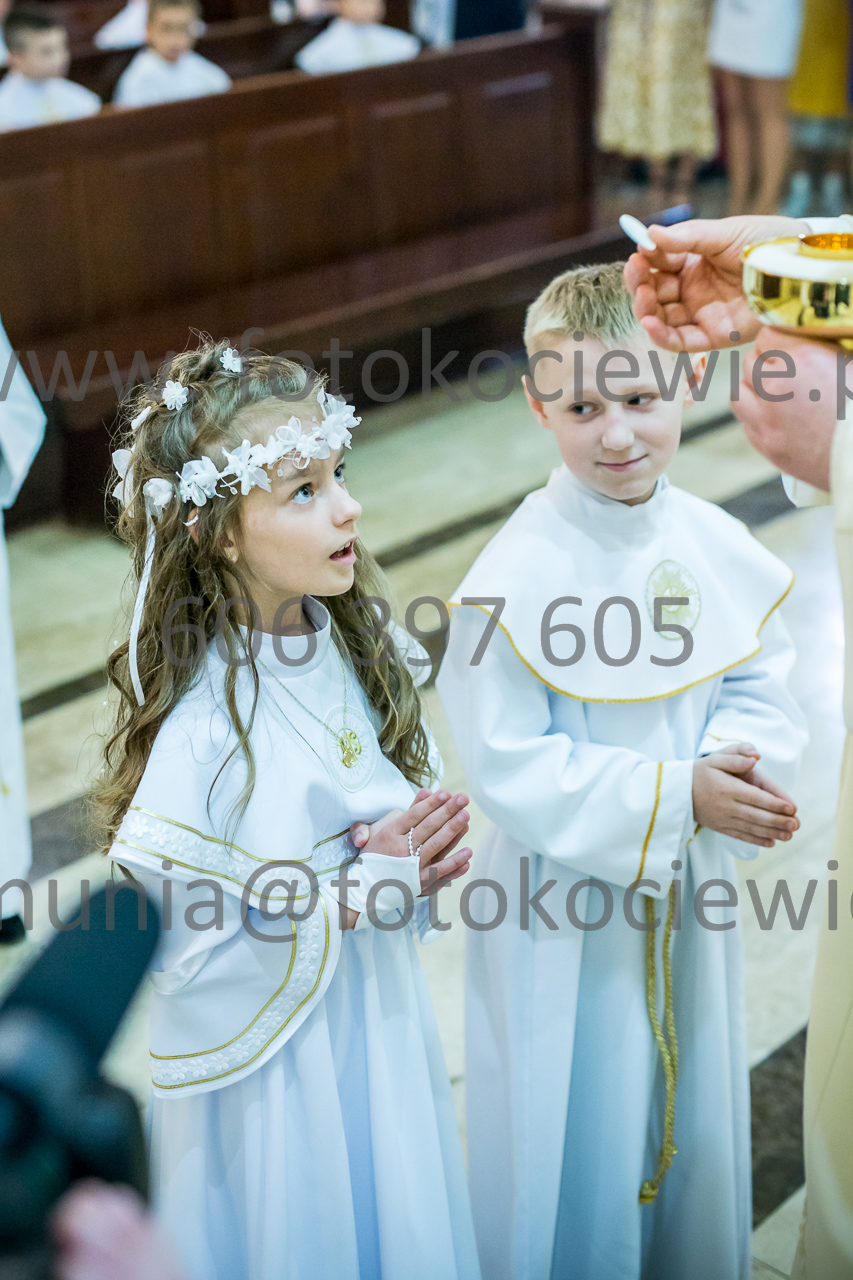 550_IMG_3831
