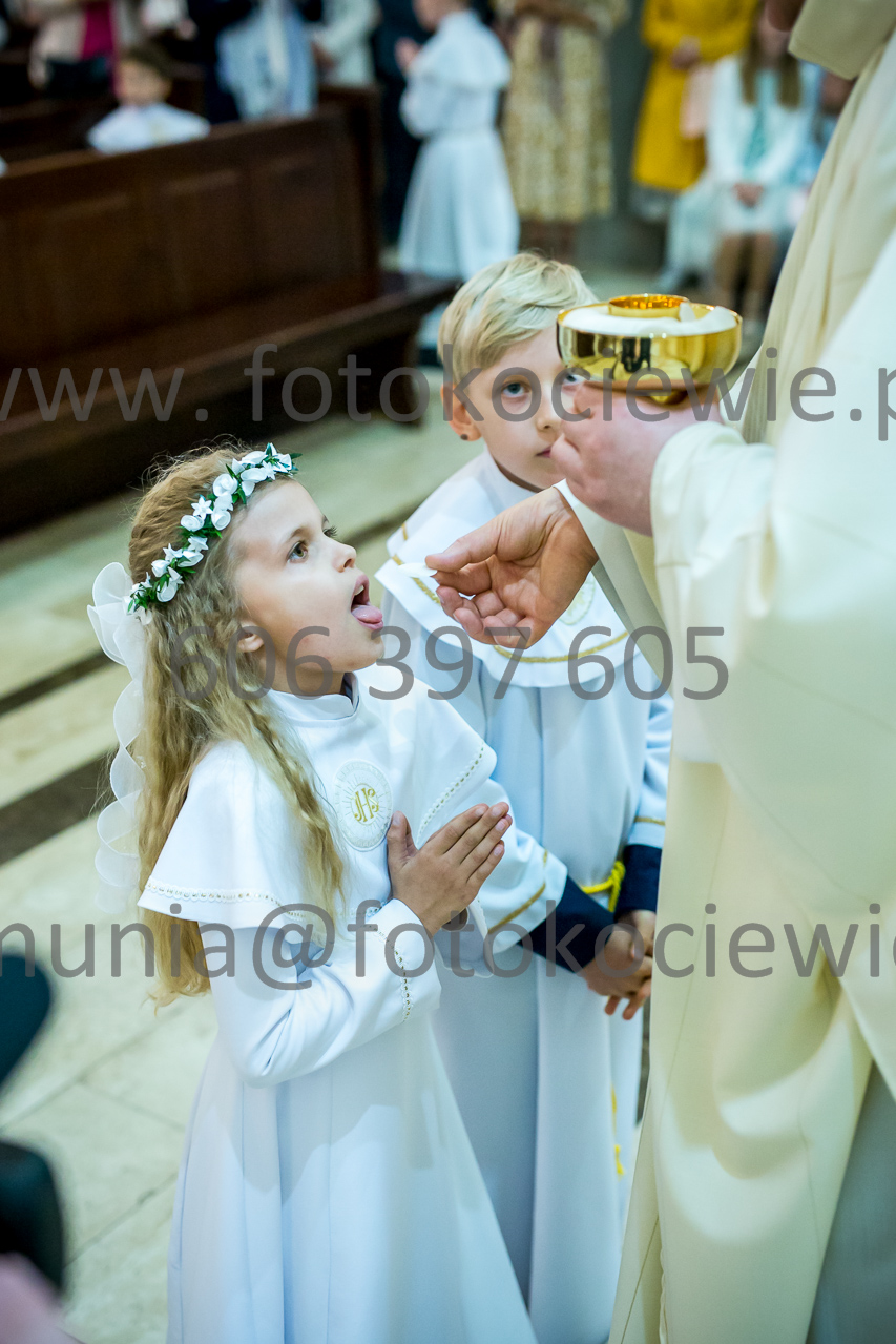 599_IMG_3880