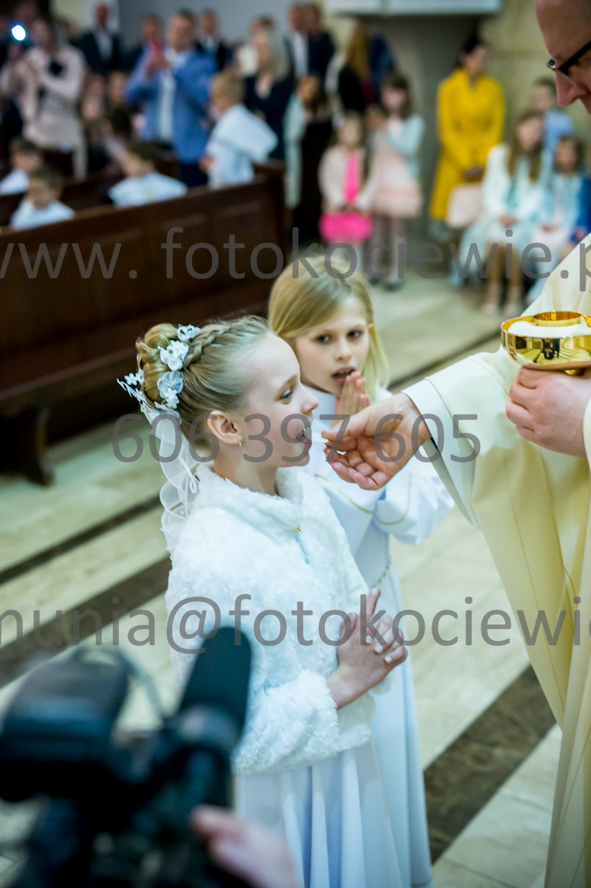 648_IMG_3929