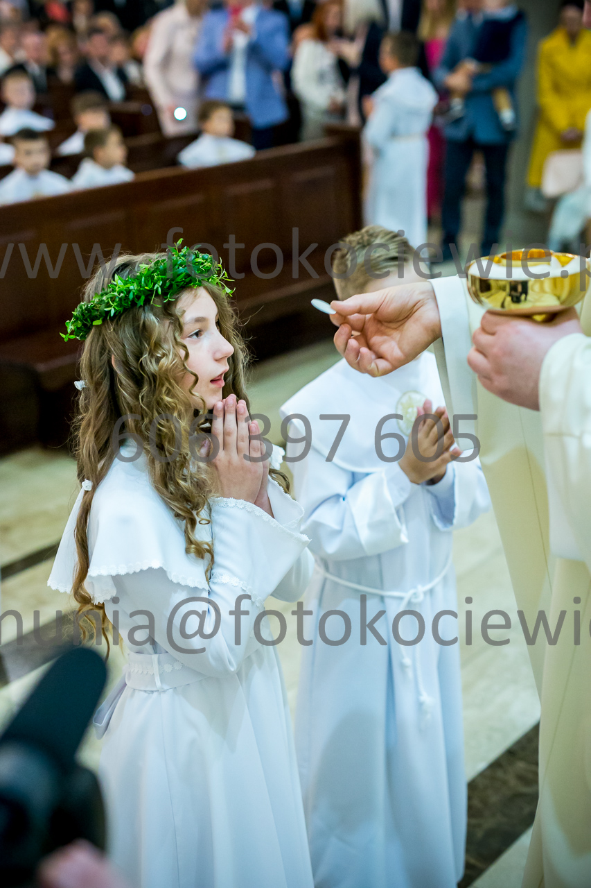 659_IMG_3940