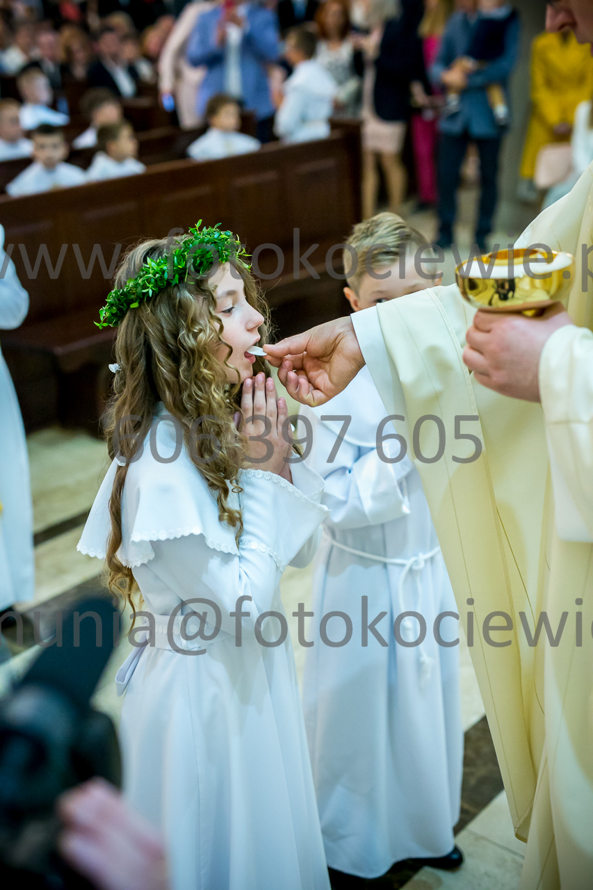 660_IMG_3941