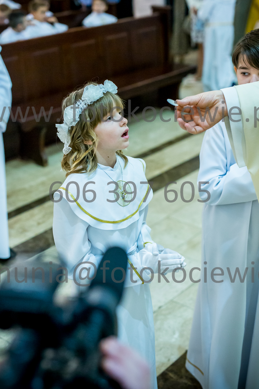 667_IMG_3948