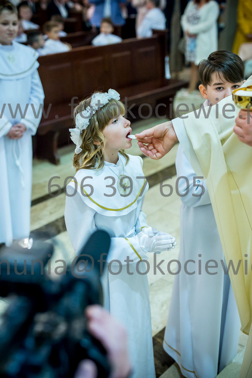 668_IMG_3949