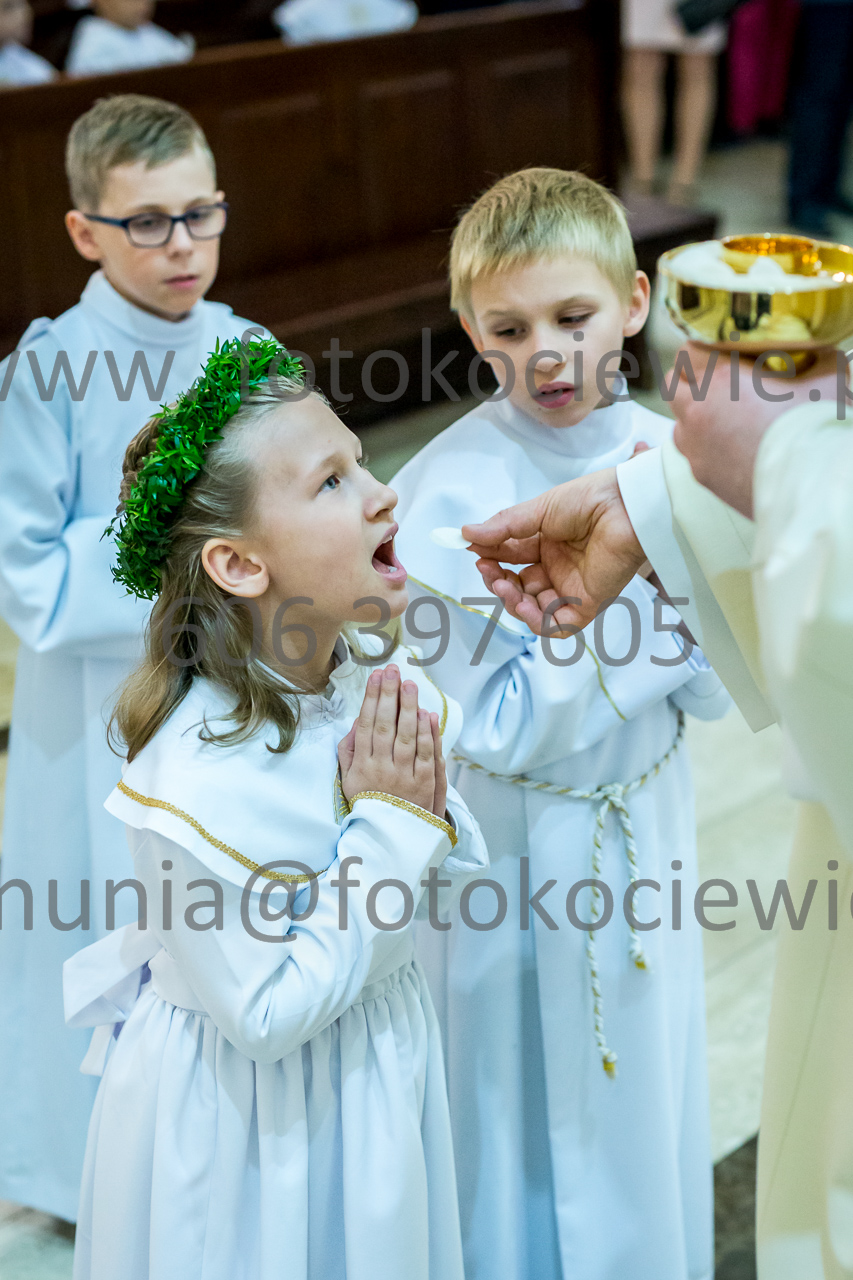 684_IMG_3968