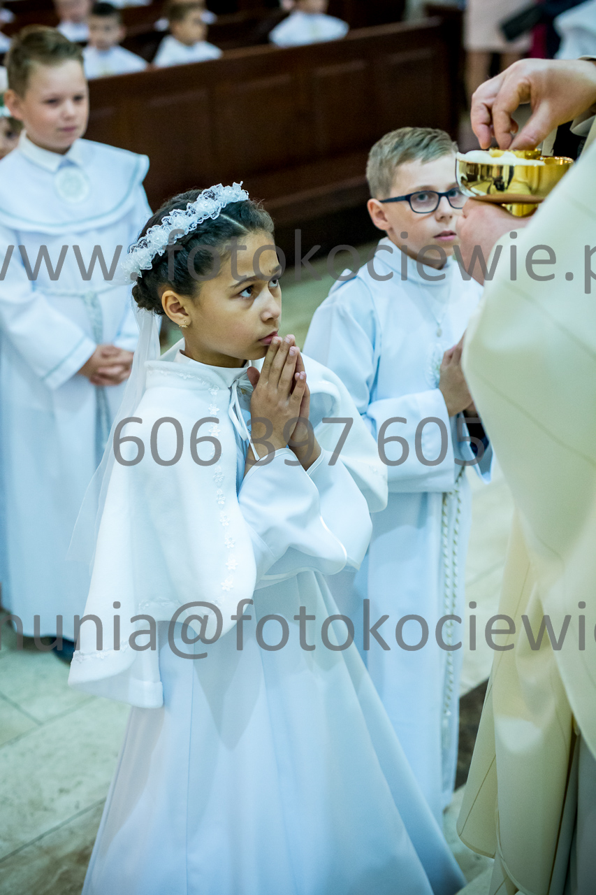 687_IMG_3971