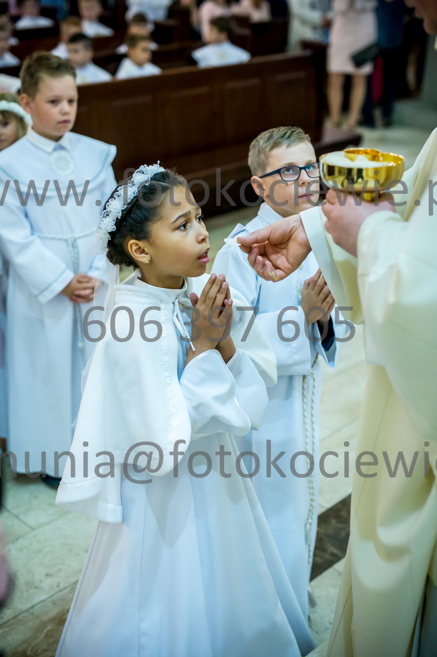688_IMG_3972