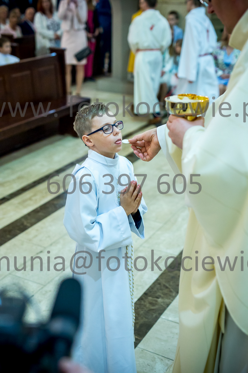 690_IMG_3974