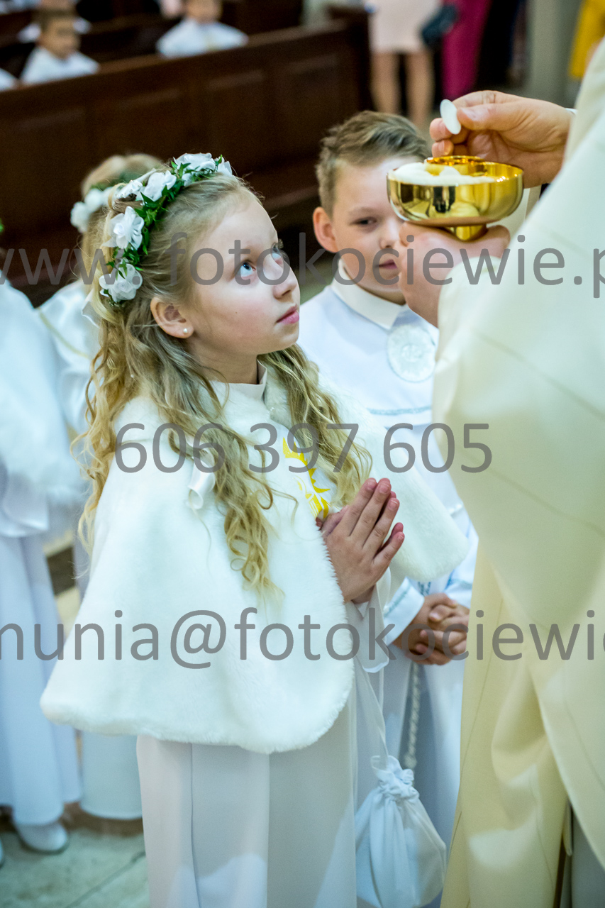 691_IMG_3975