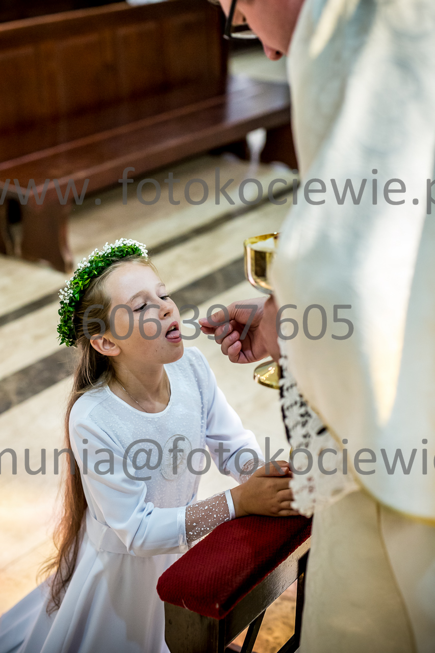 482_IMG_0701