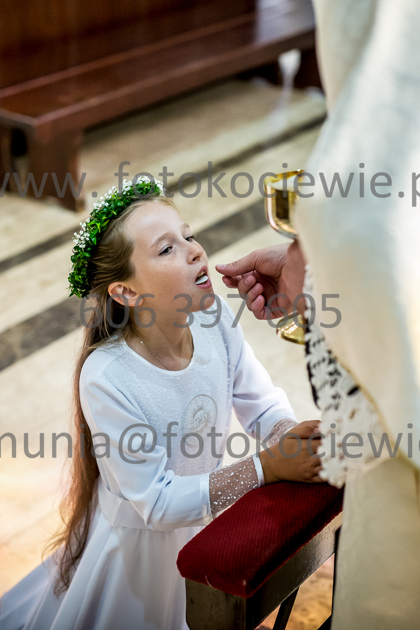 484_IMG_0702