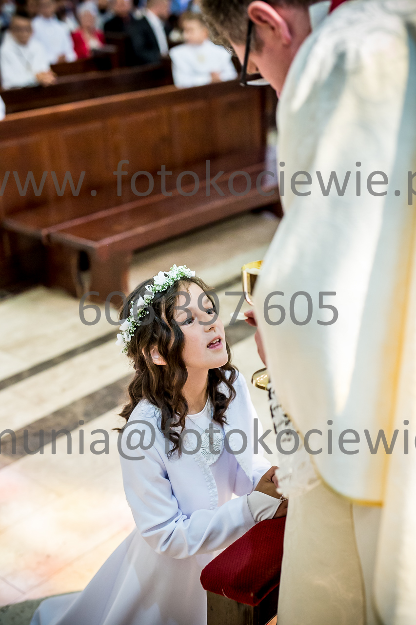 488_IMG_0705