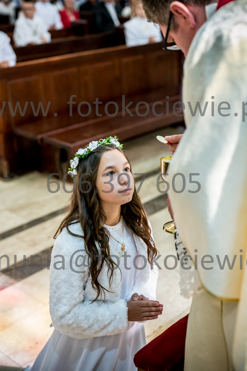 499_IMG_0713