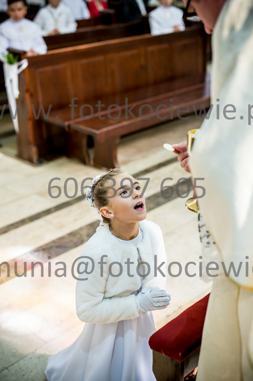 532_IMG_0737
