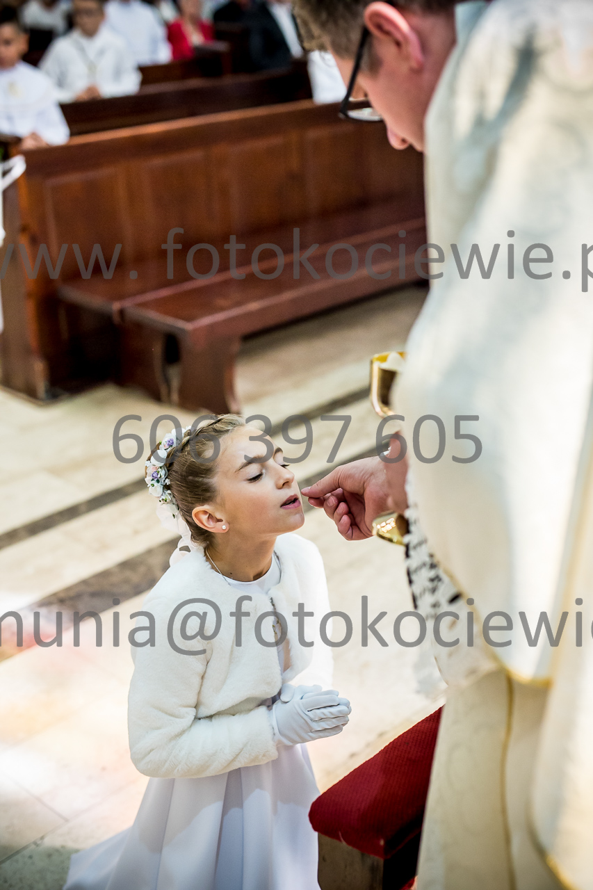 534_IMG_0739