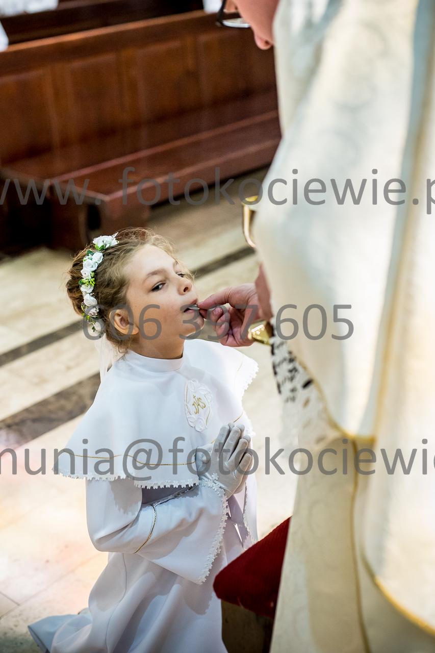 537_IMG_0741