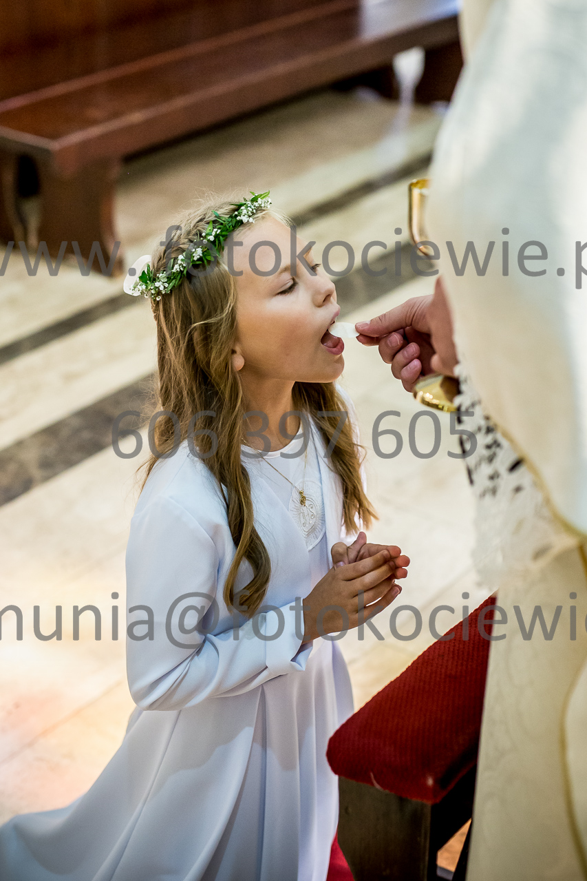 544_IMG_0746