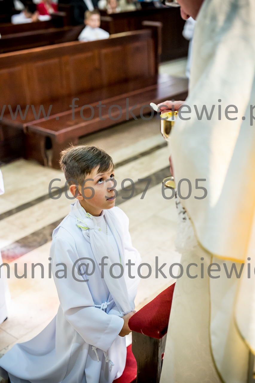 599_IMG_0781